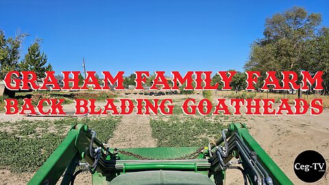 Graham Family Farm: Back Blading Goatheads