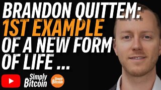 BRANDON QUITTEM: Bitcoin Is A Living Organism !!