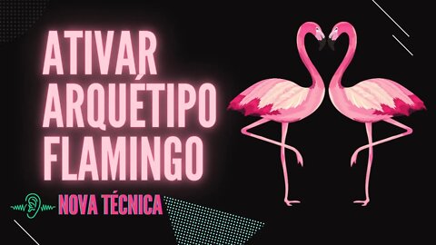 ATIVAR ARQUÉTIPO FLAMINGO (técnica experimental)