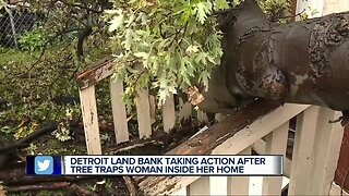 Detroit Land Bank taking action after tree traps woman inside her home