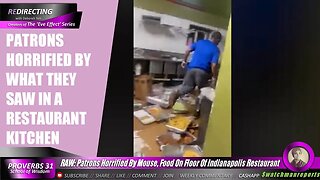RAW: Patrons H0rrified By Mouse, Food On Floor Of Indianapolis Restaurant