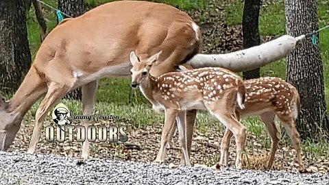 Ranch Babies! Awesome! July 6th