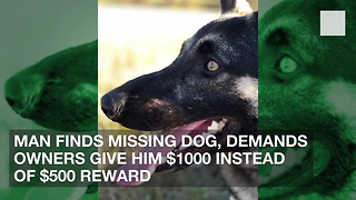 Man Finds Missing Dog, Demands Owners Give Him $1000 Instead of $500 Reward