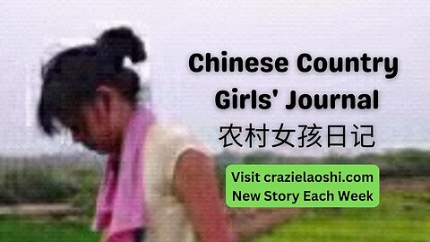 Run Run, Chinese Country Girl's Journal, Understand Story with Crowd Translation