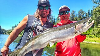 These SUMMER Steelhead Were BIG! Smoked STEELHEAD Catch N Cook.