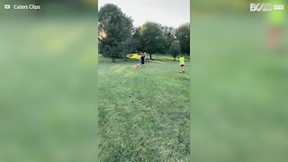 Dog hurtles into goal net while chasing ball