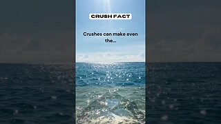 Crushes can make even the #shorts #facts #crushfact