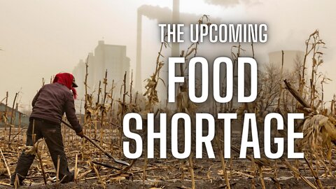 The coming FOOD SHORTAGE - What can we do?