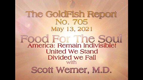The GoldFish Report No. 705 America: Remain Indivisible w/ Scott Werner, M.D.