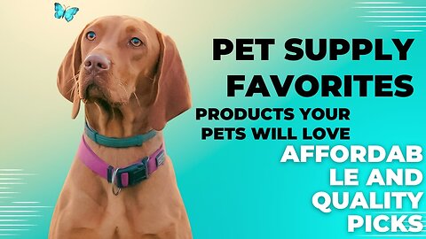 The Best Pet Supplies of 2023