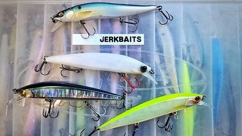 These Baits will Dominate Clarks Hill MLF Event