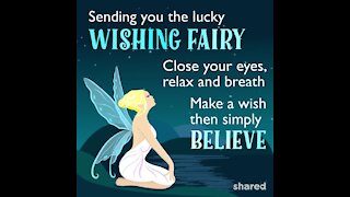 Wishing fairy [GMG Originals]