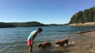 Dog in the water ! LonelyCreek at the lake.