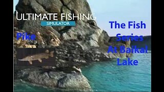 Ultimate Fishing Simulator: The Fish - Baikal Lake - Pike - [00023]