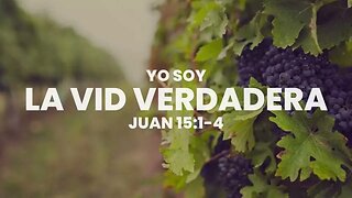 Jesucristo, la vid verdadera #devocional #devocionaldiario #jesuscristo