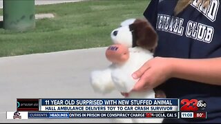 Hall Ambulance surprises 11-year-old girl