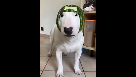 Water Melon Helmet for my cute tommy