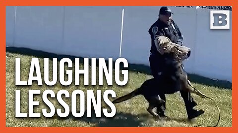 Police Dog Gets Last Laugh: K9 Tackles Officer in "Smile Contest" Payback