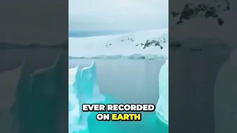 Uncovering the Secret Ecosystem of Antarctica What You Didnt Know