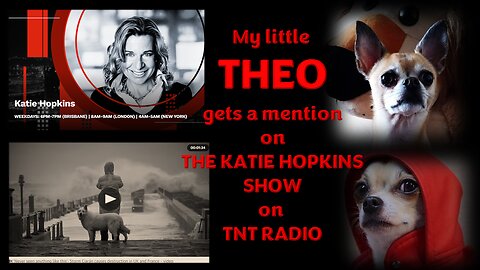 WWW.THECRYFREEDOMSHOWWITHLISA.COM My ISRAEL take and THEO on KATIE HOPKINS SHOW 😉