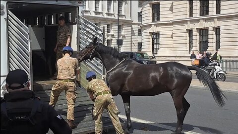 Horse taken back in they will come back later l#horseguardsparade