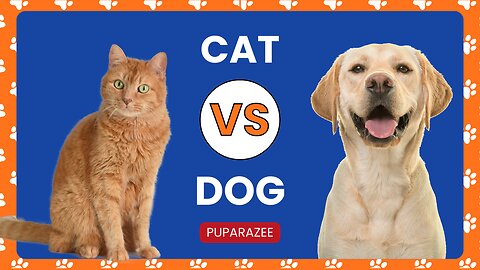 Unleashed Secrets: The Surprising Truth About Cats & Dogs as Pets!