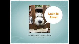 Lessons from Latin on Character