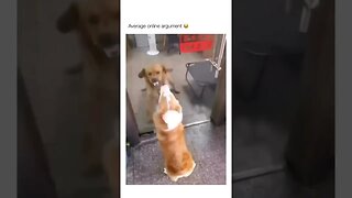 It really be like this 😹😹😹😹 #shorts #viral #subscribe #shortvideo #reels #funny #dog #funnydogs