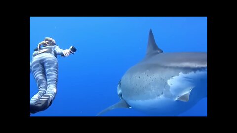 Girl fighting with sharks 🐋🐋🦈🦈🦈🦈🦈🦈🦈🦈🦈