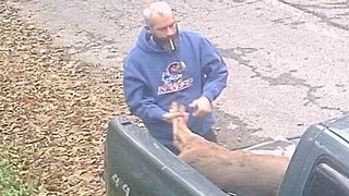 Man caught on camera dumping dead deer