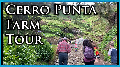 Farm Tour - Volcan Friday Market, Tierras Altas, Panama Chiriqui Cerro Punta Finca