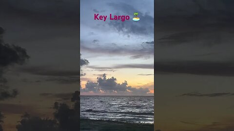 Amazing 🏝️ #keylargo