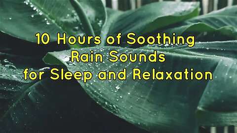 10 Hours of Soothing Rain Sounds