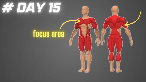 #Day 15/28 Day Full Body Workouts Challenge !