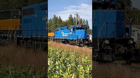 I Used A Radar Gun On This Train, It Was Booking!! #trains #shorts #shortvideo | Jason Asselin