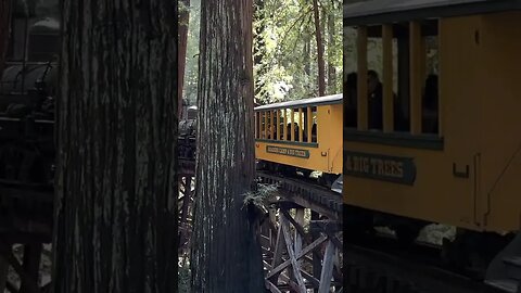 Roaring Camp Railroad Redwood Forest Steam Train near Santa Cruz Beach 4K HDR #steamtrains