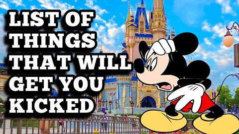 This Will Get You Kicked Out of Any Disney Park