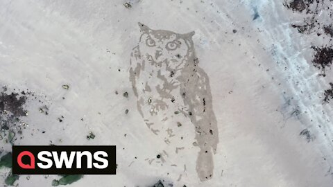 UK sand artist creates giant owl sculpture to herald in the New Year