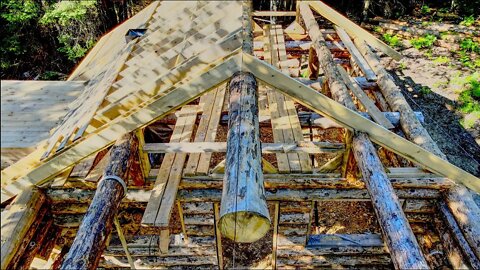 Framing the Roof of My Off Grid Log Cabin, Ep19