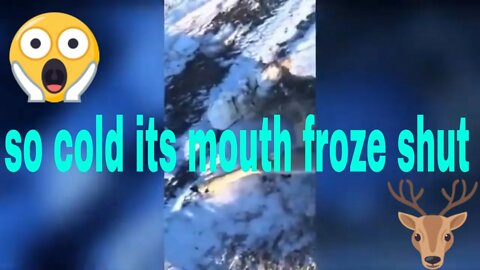 Coldest city in the world -67°C Russia freezes! ⚠️ Terrible snow freezing storm hits Yakutia