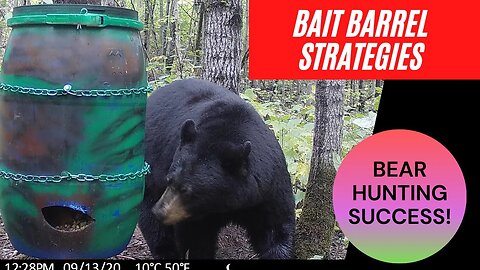 Barrel Baiting Strategies from a Bear Hunting Guide