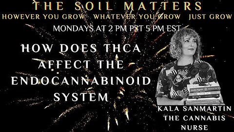 How Does THCA Affect The Endocannabinoid System