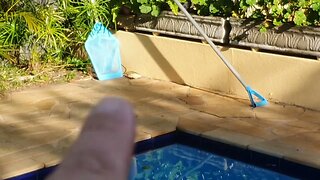 confere se não tem bicho peçonhento dentro ou ao redor da piscina antes de cuidados