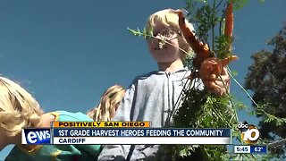 Cardiff 1st graders become harvest heroes after donating produce
