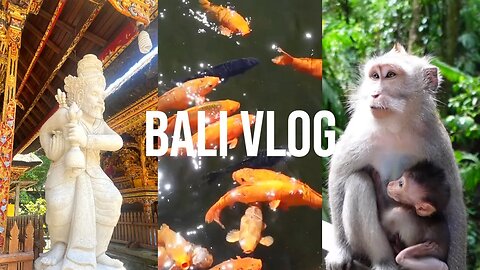 BALI TRAVEL VLOG – Exploring Ubud Monkey Forest, Hindu Temples, Coffee Tasting & more!