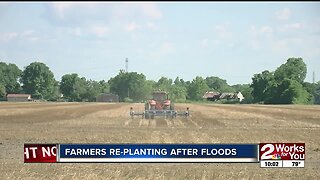 Farmers re-planting after floods