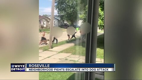 Neighborhood fights escalate into dog attack