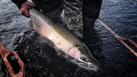 Exploring Steelhead Fishing Rivers of Washington & Oregon