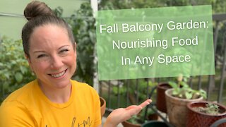 Fall Balcony Garden: Nourishing Food in Any Space