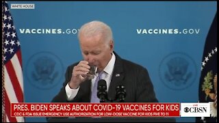 Biden Stops Speech To Drink Water After A Coughing Fit